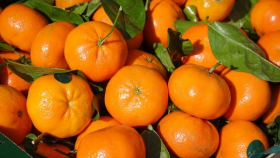 Made in Italy, clementine sostenibili
