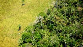 Sos Amazzonia