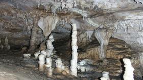 Stalagmiti dall'Antro del Corchia (Lucca) (Foto I. Isola)