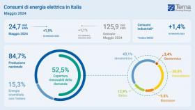 Terna consumi energia