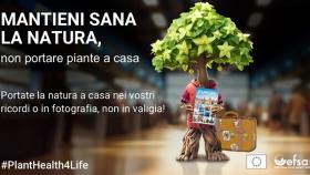 planthealth4life
