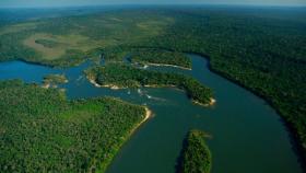 amazzonia