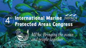aree marine protette