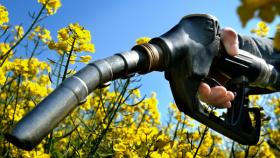 Biodiesel, carburanti ecologici