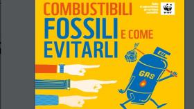 combustibili fossili e come evitarli