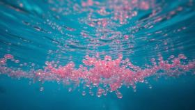 contaminanti nell'acqua