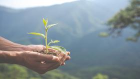 environmental-conservation-in-the-garden-for-children-scaled