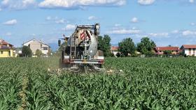 fertilizzante organico da biogas