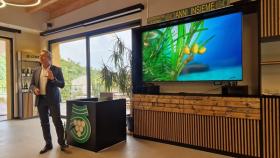 green sea project