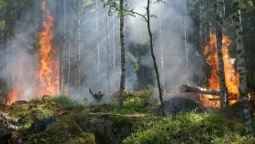 rischio incendio foreste