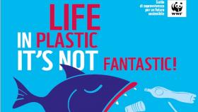 life in plastic