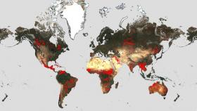 mappa incendi