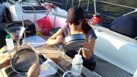 microplastiche disperse