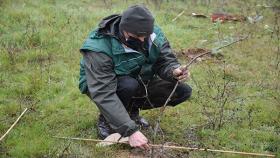 Mosaico Verde: parte da Civitella il progetto di riforestazione sostenuto da Estra