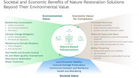 nature based solution