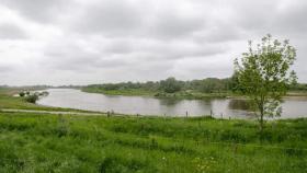 nature restoration law
