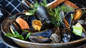 microplastica in cozze