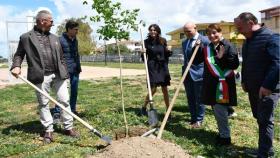 riforestazione urbana Fiumicino