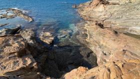 oscillazioni termiche, eventi estremi, ecosistemi marini