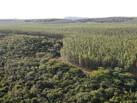 Superior è la prima conceria certificata Carbon Neutral.