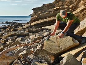 Immagine 1 - Alla ricerca di tracce fossili nel sito paleontologico di Quercianella (Livorno)