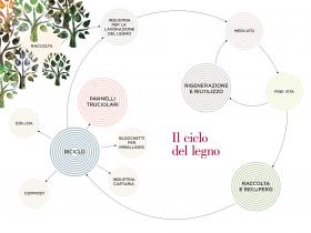 Rilegno: il ciclo del legno