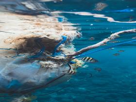 Inquinamento plastiche in mare -foto di naja bertolt jensen da unsplash