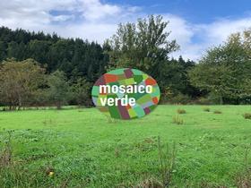  Mosaico Verde, la campagna nazionale ideata e promossa da AzzeroCO2 e Legambiente con lo scopo di riqualificare il territorio italiano e tutelare i boschi esistenti