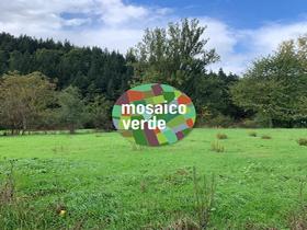 Mosaico_Verde