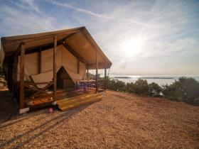 Nature.House: il turismo sostenibile che riforesta il mondo