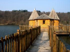 Nature.House: il turismo sostenibile che riforesta il mondo