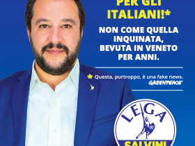 Matteo Salvini - energie rinnovabili