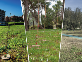 Mosaico verde: Convegno “Valorizzazione del patrimonio forestale pubblico attraverso la campagna Mosaico Verde. Gli enti pubblici si raccontano”. 