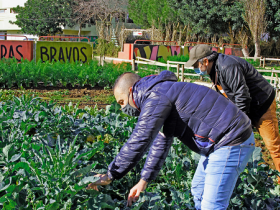 tutti per l'orto