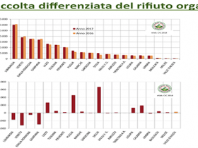 grafico raccolta differenziata rifiuti organici