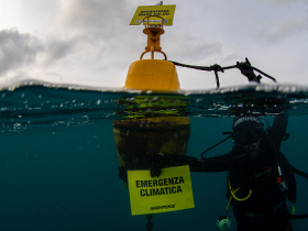 greenpeace_marecaldo