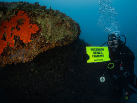 greenpeace_marecaldo