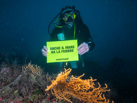 greenpeace_marecaldo